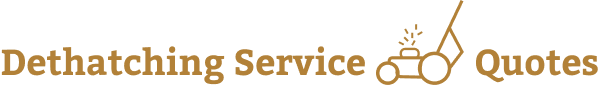 Dethatching Service Near Me